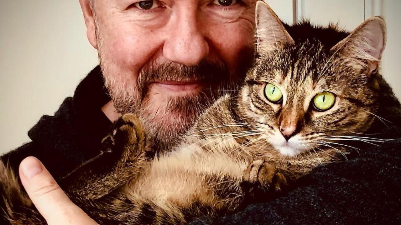 Heat wave: No ice in drinks for audience during Ricky Gervais shows